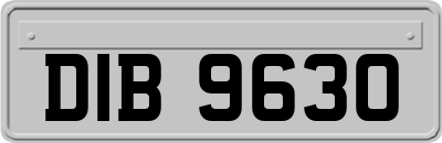DIB9630