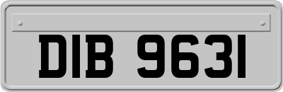 DIB9631