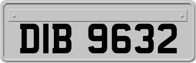 DIB9632