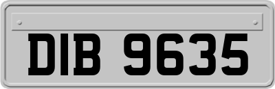 DIB9635