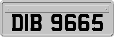 DIB9665
