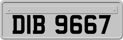 DIB9667