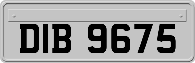 DIB9675