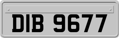 DIB9677