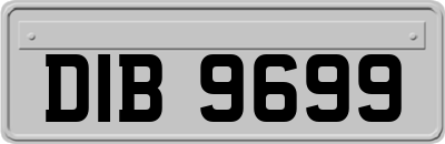 DIB9699