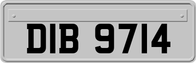 DIB9714