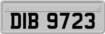 DIB9723