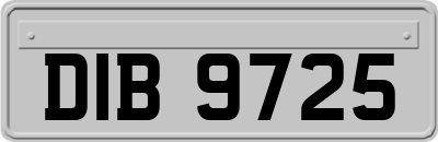 DIB9725