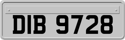 DIB9728