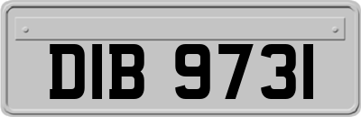 DIB9731