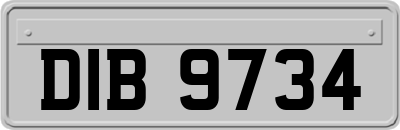 DIB9734