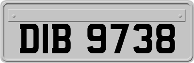 DIB9738