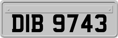 DIB9743