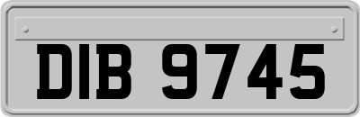 DIB9745