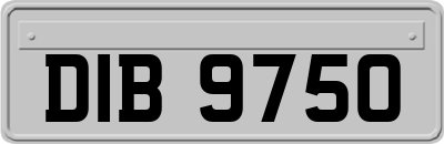 DIB9750