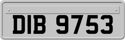 DIB9753