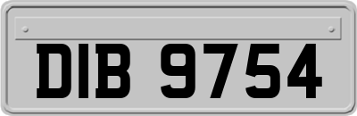 DIB9754
