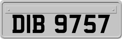 DIB9757