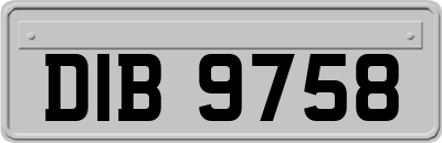 DIB9758