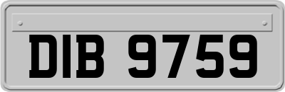 DIB9759