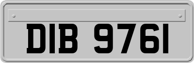 DIB9761