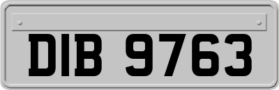 DIB9763