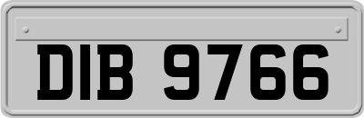 DIB9766