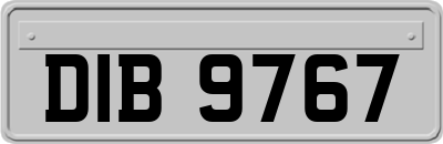 DIB9767