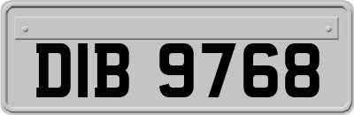 DIB9768