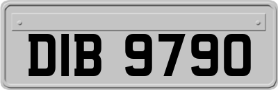 DIB9790