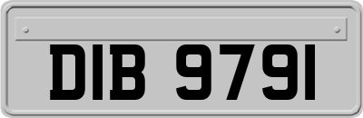 DIB9791