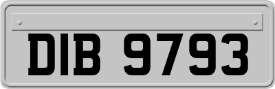 DIB9793