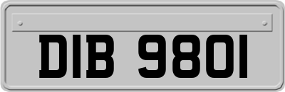 DIB9801