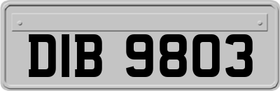 DIB9803