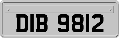 DIB9812