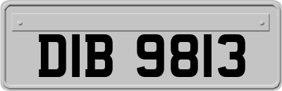 DIB9813