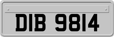 DIB9814