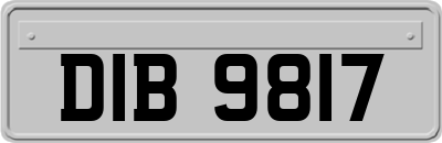 DIB9817