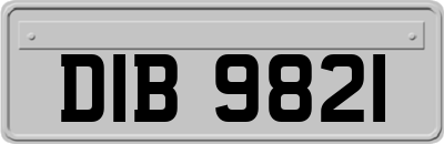 DIB9821