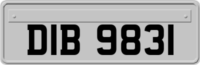 DIB9831