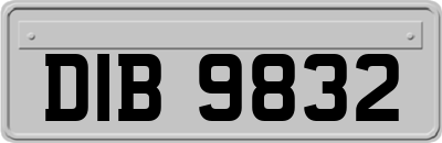 DIB9832