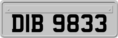 DIB9833