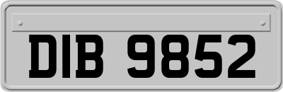 DIB9852