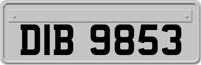 DIB9853