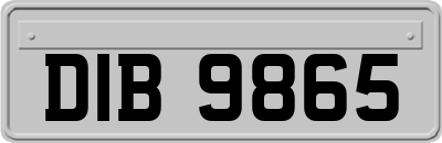 DIB9865