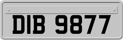DIB9877