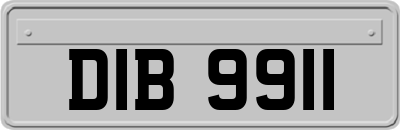 DIB9911