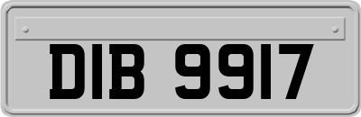 DIB9917