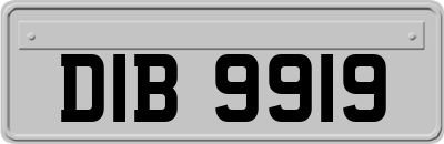 DIB9919
