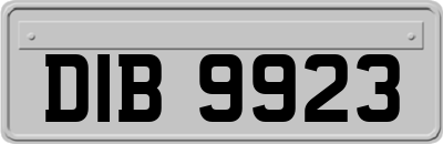 DIB9923